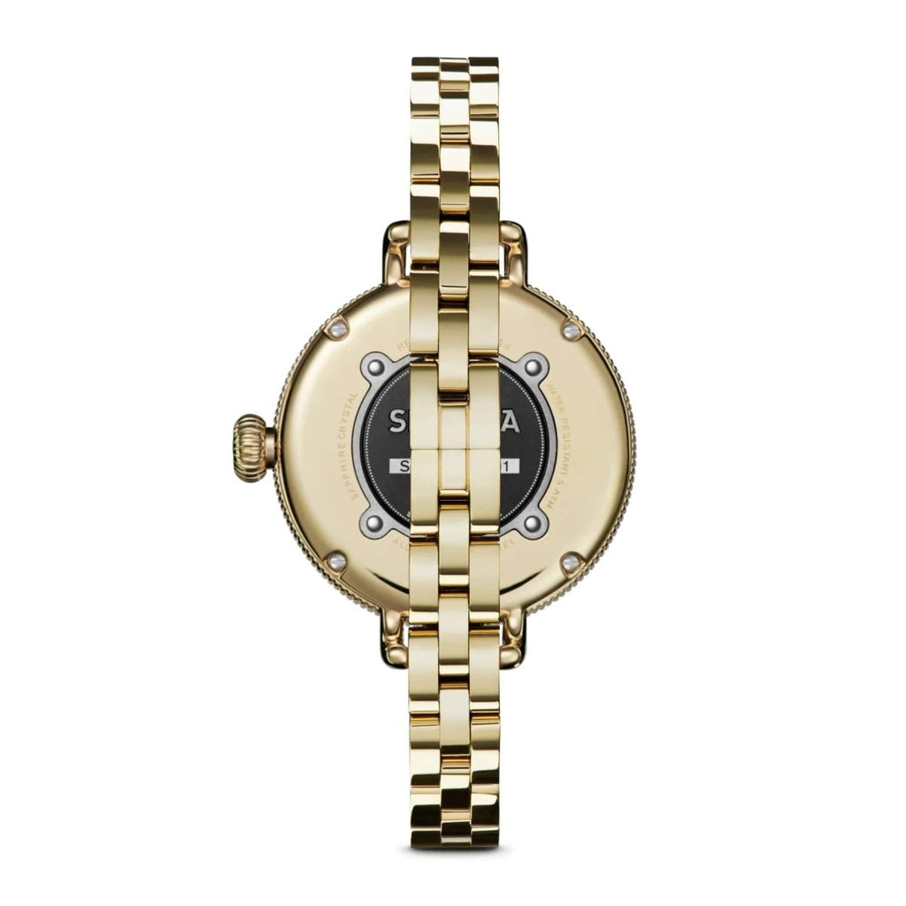 Shinola 34mm Birdy 3 Hand Maroon Dial Gold Website Modifier Watch in Stainless Steel - MJ Christensen Diamonds